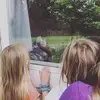 Jillian Langerud - @jillianlangerud - TikTok