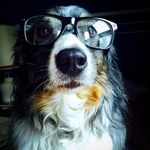 Jillian Larson - @wandering_jillian - Instagram