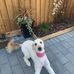 Jill Layton - Facebook