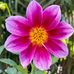 Jillian Madison - Facebook