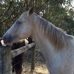 Jillian Maher - @maherjillian - Instagram