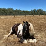 Jillian Maher - @jillianmaher5 - Instagram