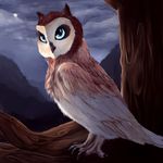 Jillian the Owl princess - @maher_jillian - Instagram
