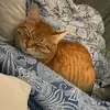Jillian Mastrapa Martin - @jillian.mastrapa - TikTok