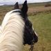 Jill McAllister - Facebook