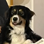 Jillian McBride - @appledemon42 - Instagram