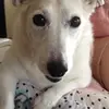 Jillian Mclean - @jillian.mclean - TikTok