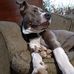 Jillian Moorman - Facebook