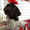jillian_poe34 - @jillian_poe34 - TikTok