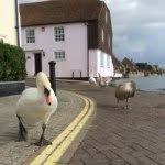 Gillian Pratt - @gill_pratt - Instagram