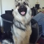 Gillian Pratt - @gillian.pratt.125 - Instagram