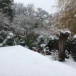 Gillian Proctor - @gillian_proctor - Instagram