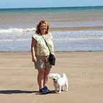 Gillian Proctor - @gillian.proctor.75 - Instagram