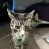reece clark - @jillian.reece7 - TikTok