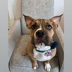 Jillian roark - @jillianmh1979 - Instagram