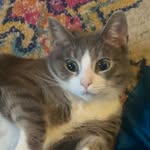 Jillian Simpson - @jsimpson698 - Instagram