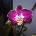 Jillian Sims - Facebook