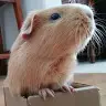 Jillian Clapton - @jillian.sinclaire - TikTok