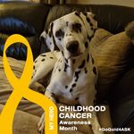 Gillian Slater - @gillian.slater.54 - Instagram