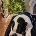Jillian Slater - Facebook