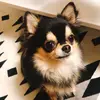 JillianSmall - @jilliansmallzpspnl - TikTok
