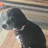 Jillian Smith - @jillian.smith11 - TikTok