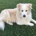Jillian Snell - Facebook
