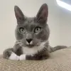 jilliansnider - @jilliansnider - TikTok