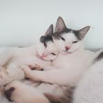 Jillian Snow - @billandben.brothers - Instagram