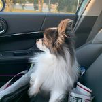 Jillian Snyder - @jillianouyang - Instagram
