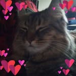 Gillian Solomon - @rittenden - Instagram