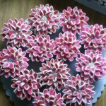 Jillian Solomon - @jillys_cakes - Instagram