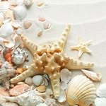 Jillian Springer - @coastaltrendswhangamata - Instagram