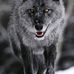 Jillian Spurgeon - Facebook