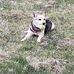 Jillian Spurlock - Facebook