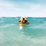 Stafford Jillian - @staffordjillian16 - Instagram