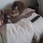 Jill Stallard - Facebook