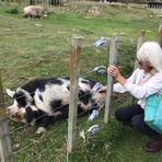 Jill Stallard - Facebook