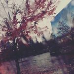 Jillian_AWSOME - @jillian_stephens - Instagram