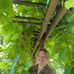 Jillian Barker-Stephens - Facebook