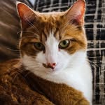 Jillian Stevenson - @jillian_photography1_ - Instagram