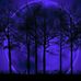 Jilan Sdiq - Facebook