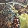 jillian_stokes_ - @jillian_stokes_ - TikTok