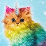 Jillian Strickland - @caticorngirl246 - Instagram