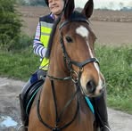 Jill Stringfellow - Facebook