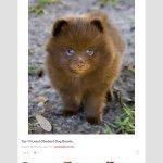 Jillian Sullivan - @jillcat2002 - Instagram