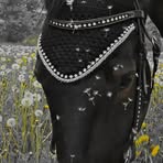 Jillian Thorne - Facebook