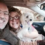 Gillian Martlew Tierney - @gillianmartlew - Instagram