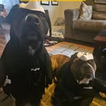 Gillian Vidal - @gillianvidal - Instagram