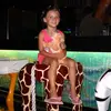 Jillianwalls - @jillianwalls14 - TikTok